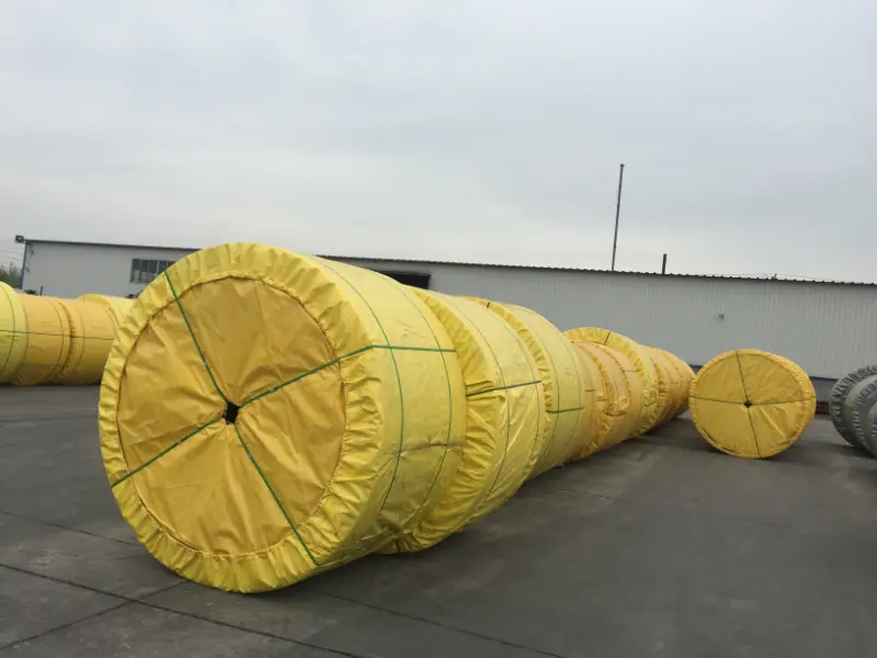 Heat Resistant Conveyor Belt