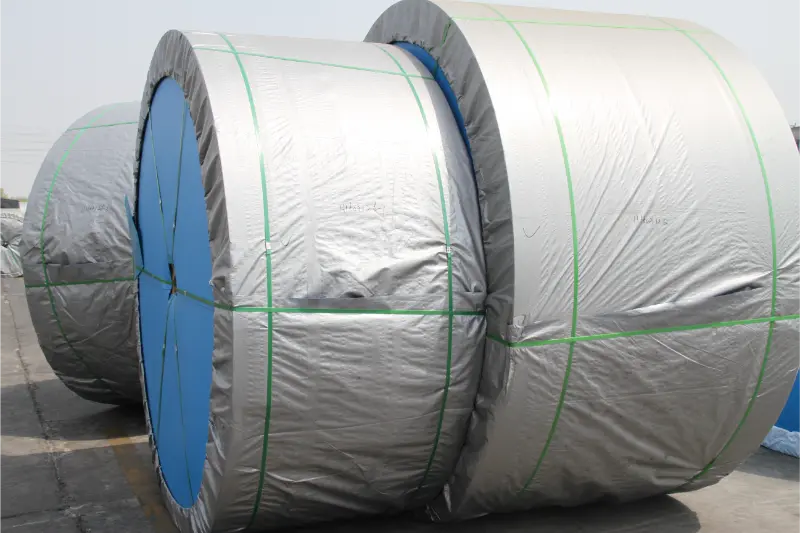 Heat Resistant Conveyor Belt
