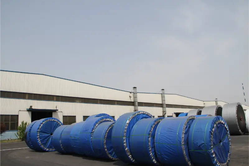  Steel Cord Conveyor Belts